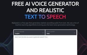 bigspeak ai website