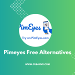 Pimeyes Free Alternatives